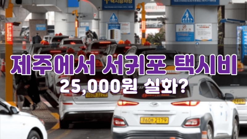 제주 공항 서귀포 택시비 25,000원